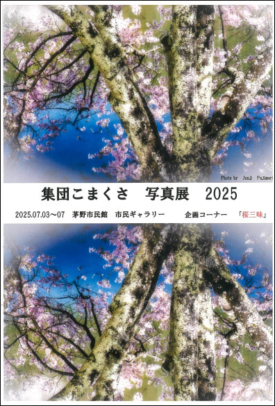 集団こまくさ写真展の画像